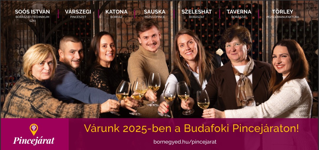 2025: A MEGÚJULÁS ÉVE A BUDAFOKI PINCEJÁRAT TÖRTÉNETÉBEN