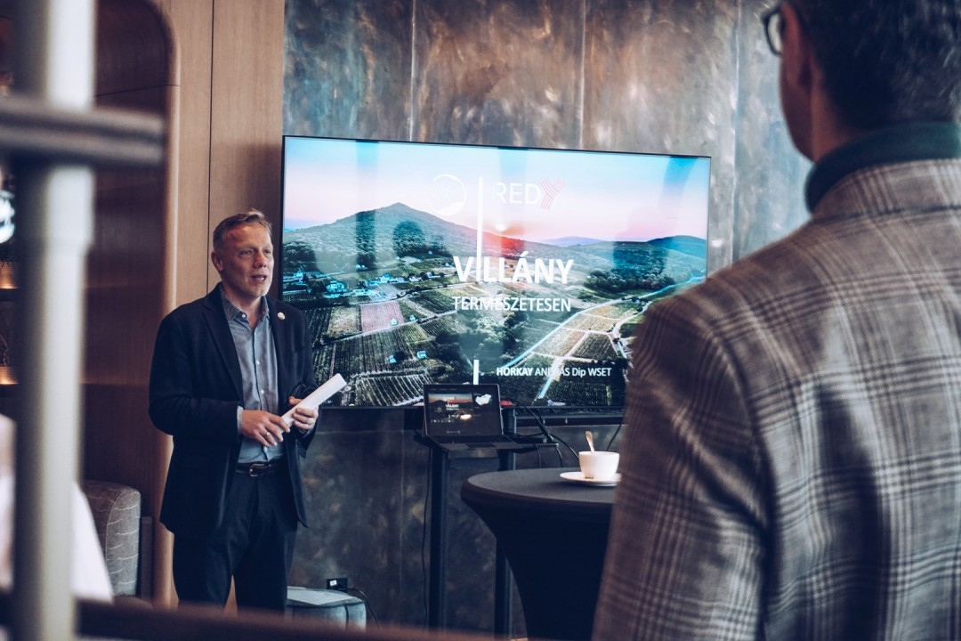 Villányi borélmények a legmagasabb szinten