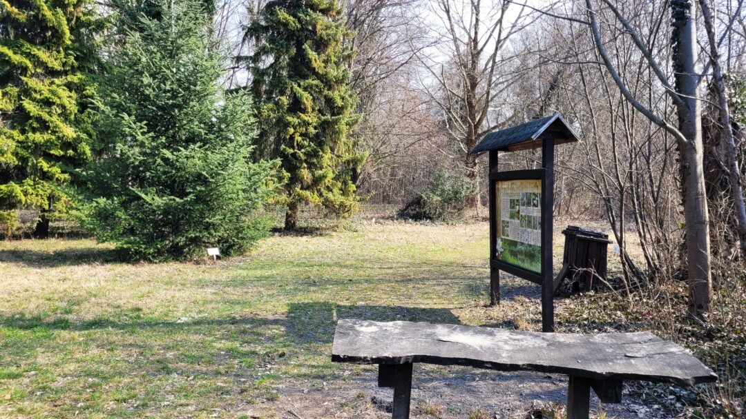 Kezdődik a szezon a hazai arborétumokban és botanikus kertekben