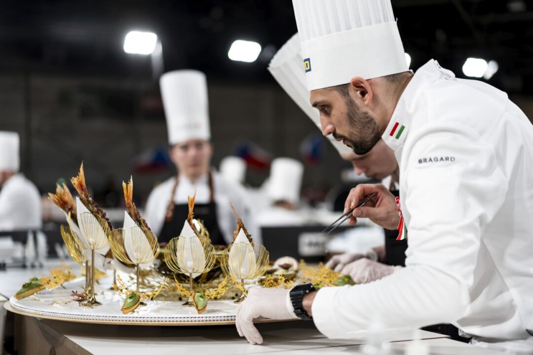 Magyarország bejutott a Bocuse d’Or lyoni világdöntőjébe