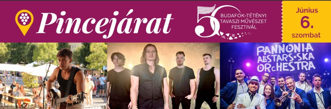 Kerület napja, és Pincejárat Budafokon!