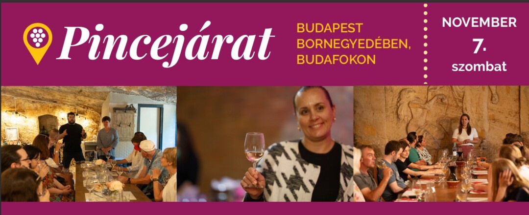 Érkezik a novemberi pincejárat
